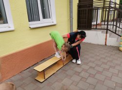 img (8)
